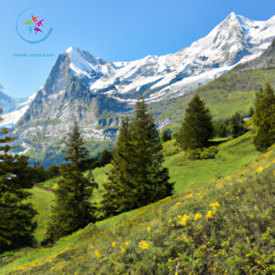 the ethereal beauty of the Swiss Alps, where majestic snow-capped peaks meet lush green valleys adorned with vibrant wildflowers